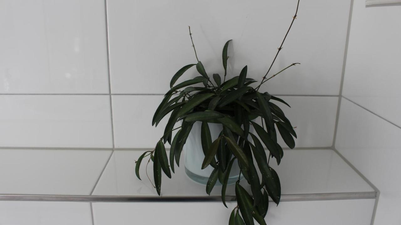 Appartement Maria Egg Exteriör bild